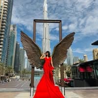 Flitz Flying Dresses