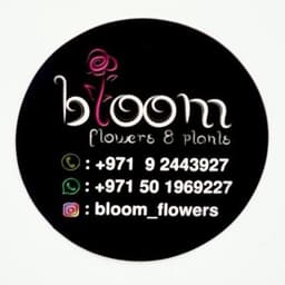 Bloom Flowers and Plants